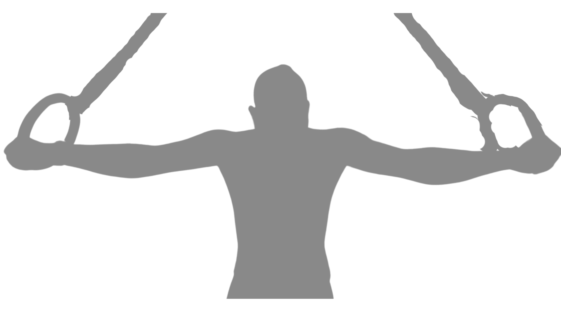 Ringfly